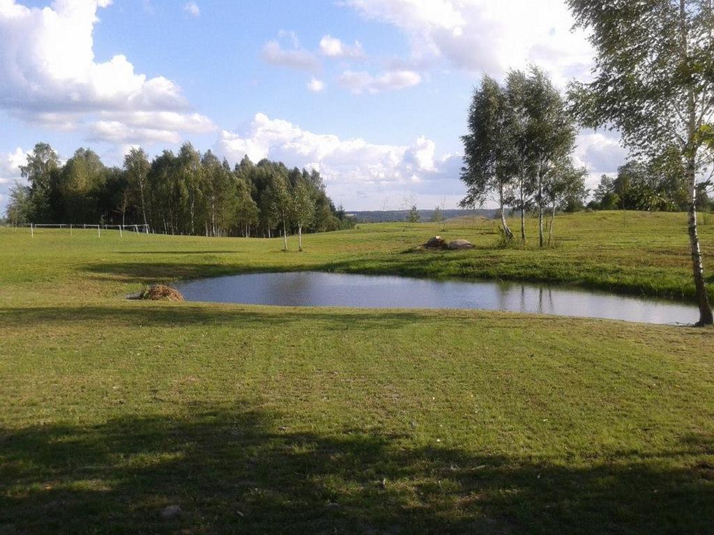 Aukštadvaris Villa Cheval المظهر الخارجي الصورة