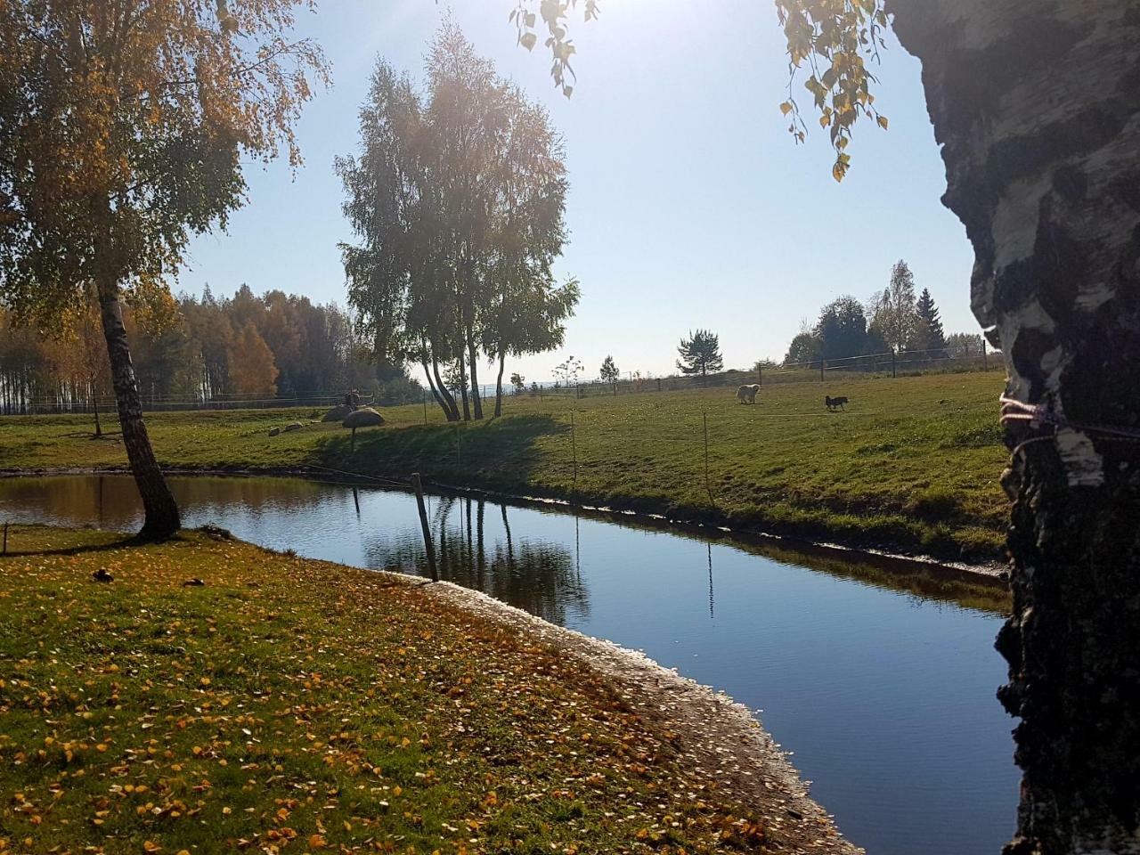 Aukštadvaris Villa Cheval المظهر الخارجي الصورة