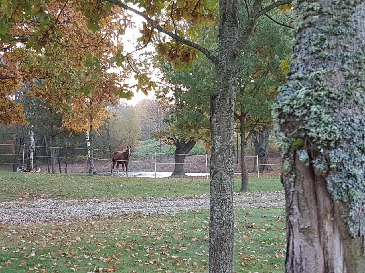 Aukštadvaris Villa Cheval المظهر الخارجي الصورة