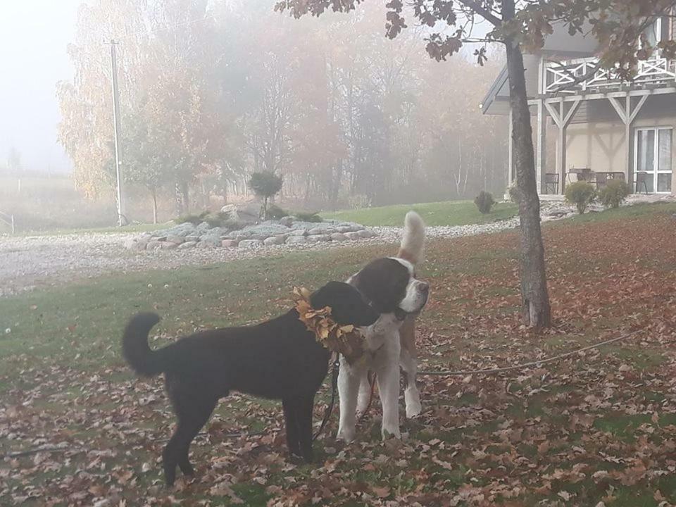 Aukštadvaris Villa Cheval المظهر الخارجي الصورة