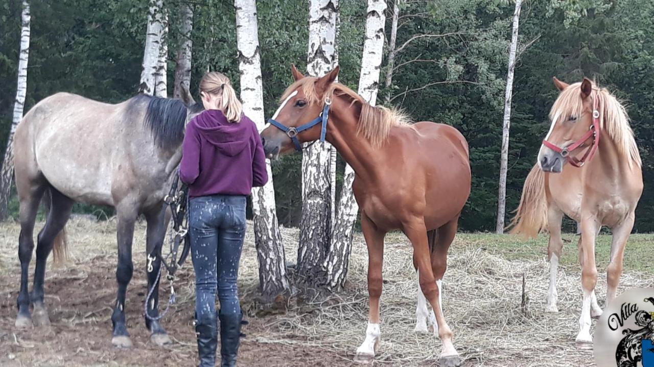 Aukštadvaris Villa Cheval المظهر الخارجي الصورة